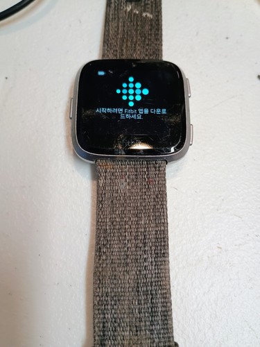 Fitbit versa fb505 silver - fitbit,
